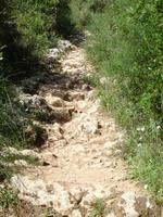 Abstieg in der Schlucht von Bingaus