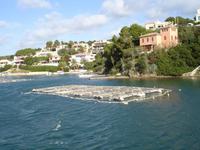 Hafenrundfahrt in Mahon - Muschelbänke