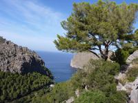 Bucht von Sa Calobra (3)