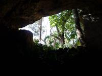 Coves del Drac -Ausgang