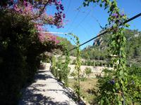 Gärten von Alfàbia (11)