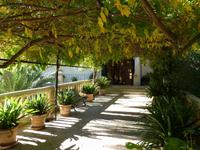 Gärten von Alfàbia (12)