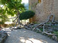 Gärten von Alfàbia (14)