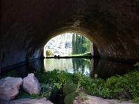 Gärten von Alfàbia (6)