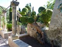 Gärten von Alfàbia (7)