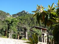 Gärten von Alfàbia (8)