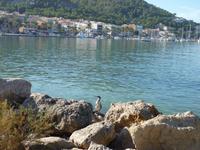 Port d’Andratx (3)