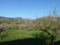 Westebene von Mallorca