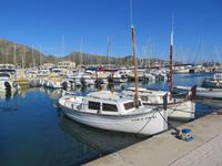 Im Hafen von Pollenca