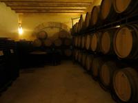 Im Weingut von Santa Eugenia