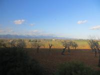 Auf dem Weg nach Palma