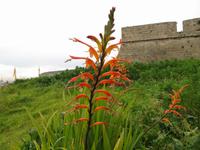 An der Festung San Carlos