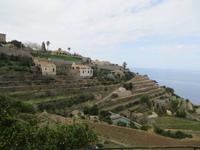 Terrassen bei Banyalbufar