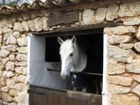 Im Landgut La Granja