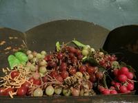 Im Landgut La Granja