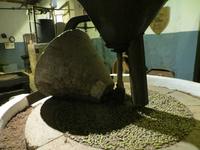 Im Landgut La Granja