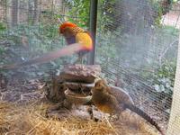 Im Landgut La Granja