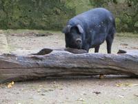 Im Landgut La Granja