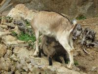 Im Landgut La Granja