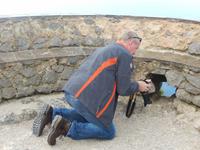 ob es geklappt hat ??