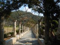 Alfabia arabische Gärten