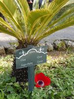 Alfabia arabische Gärten