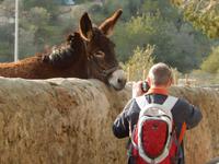 bitte recht freundlich...