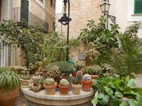Innenhof Soller