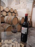 Weinkeller Miquel Oliver