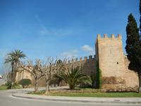 Alcudia