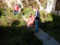 Auch in einem Kloster gibt es Katzen