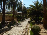 Die Gärten von Alfabia