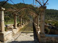 Die Gärten von Alfabia