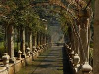 Wasserspiele in Alfabia