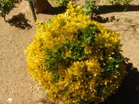 Mallorca Insel der Träume 05.04.-12.04.15