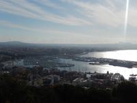 Hafen von Palma