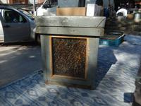 auch Bienenstöcke sind auf dem Markt erhältlich