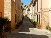liebevoll begrünte Gassen in Alcudia