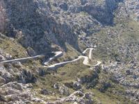 viel zu tun für Buschaffeur Christopher