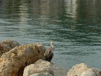 Mallorca Insel der Träume 05.04.-12.04.15