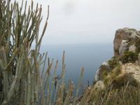 Steine, Busch und Meer