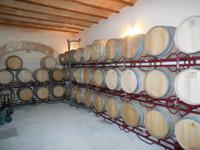 In Eichenholz lagert der mallorcinische Wein am Liebsten