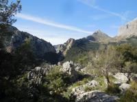 Schroffe Felsen und viel Grün auf Mallorca