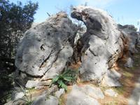 Die natur formt ihre Steine auf Mallorca