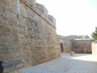 Besuch der alten Wehrbefestigung Palmas