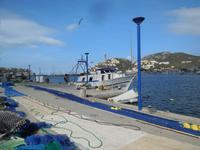 Fischerhafen in Port d' Andratx