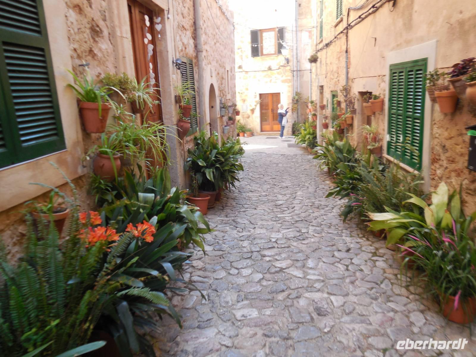 Grüner geht kaum. Gasse in Valldemossa