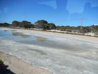 Salzsee Formentera