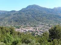 Blick auf Soller