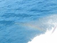 Regenbogen im Wasser
